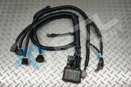 DEVELON HARNESS,ENGINE (REAR) | PN 310207-03844G