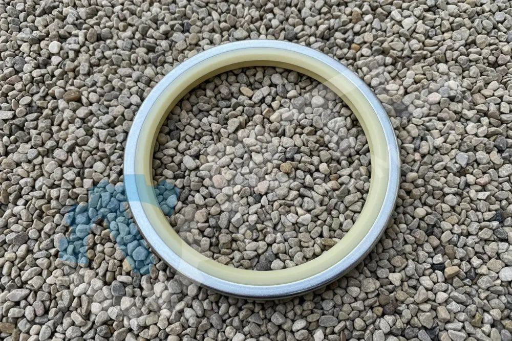 DEVELON SEAL,DUST | PN DS5502013