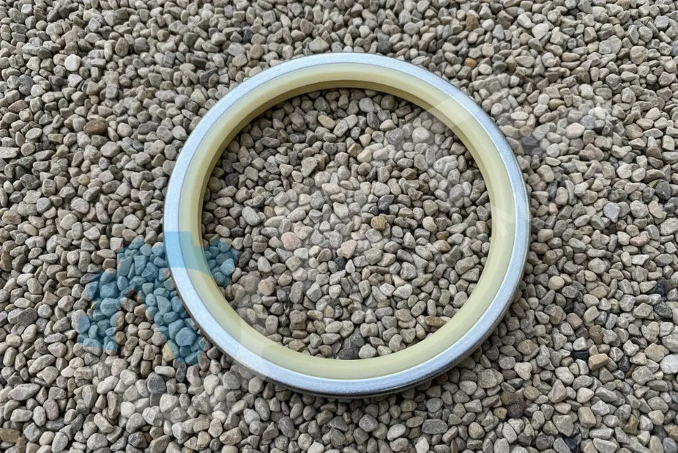 DEVELON SEAL,DUST | PN DS5502013