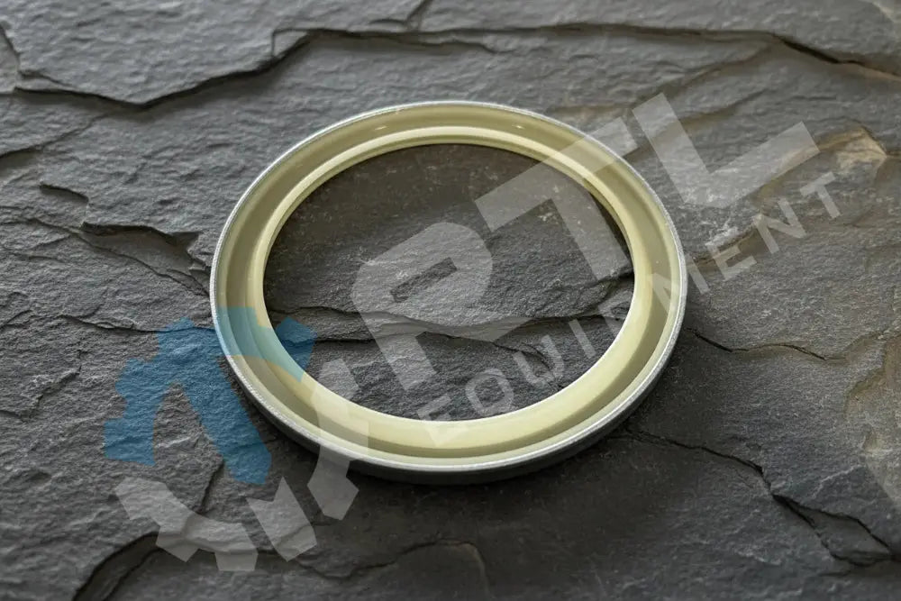 DEVELON SEAL,DUST | PN DS5502016
