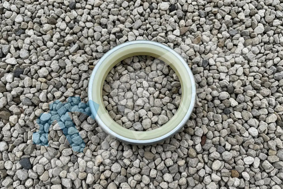 DEVELON SEAL,DUST | PN DS5502021